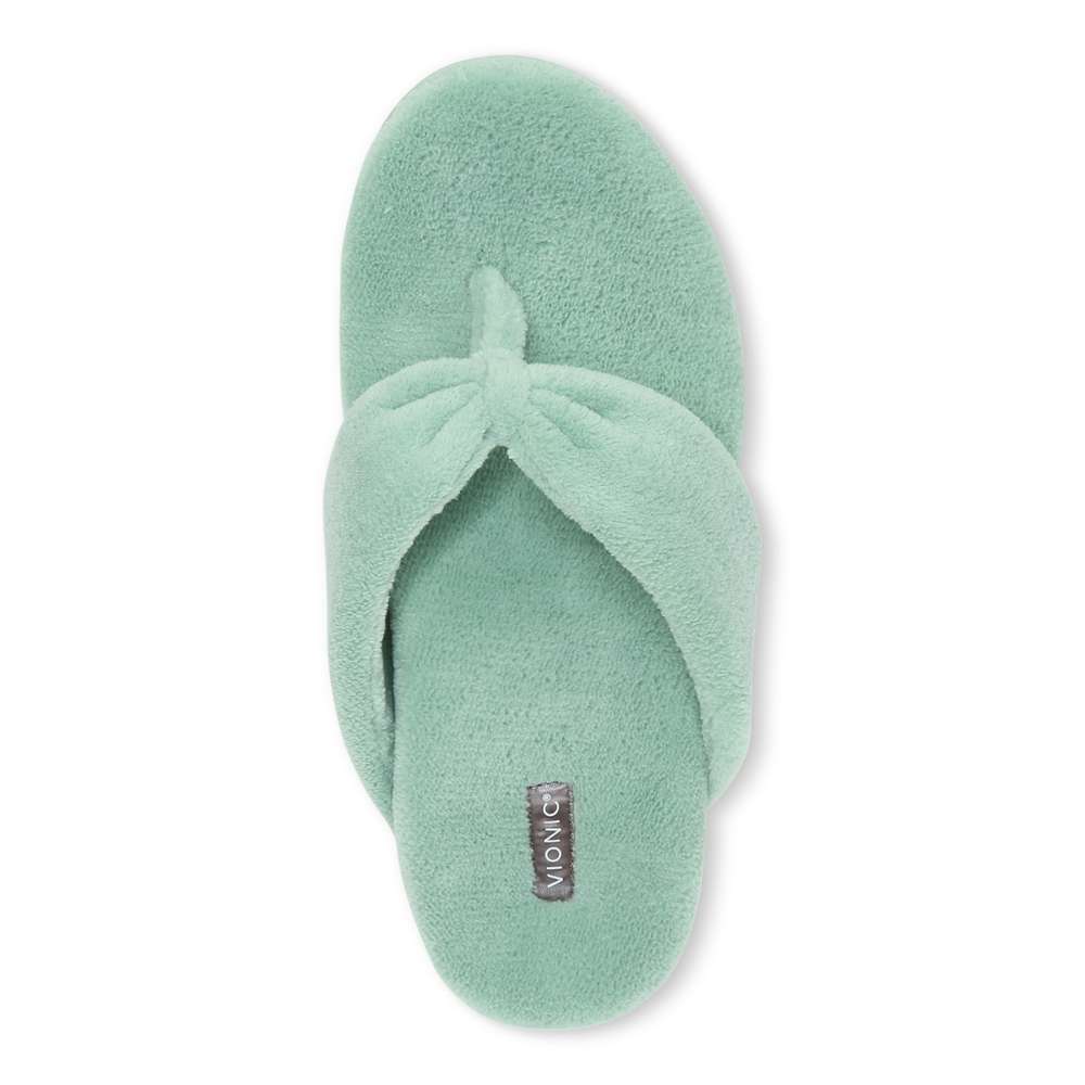 Lydia Slipper - Frosty Spruce